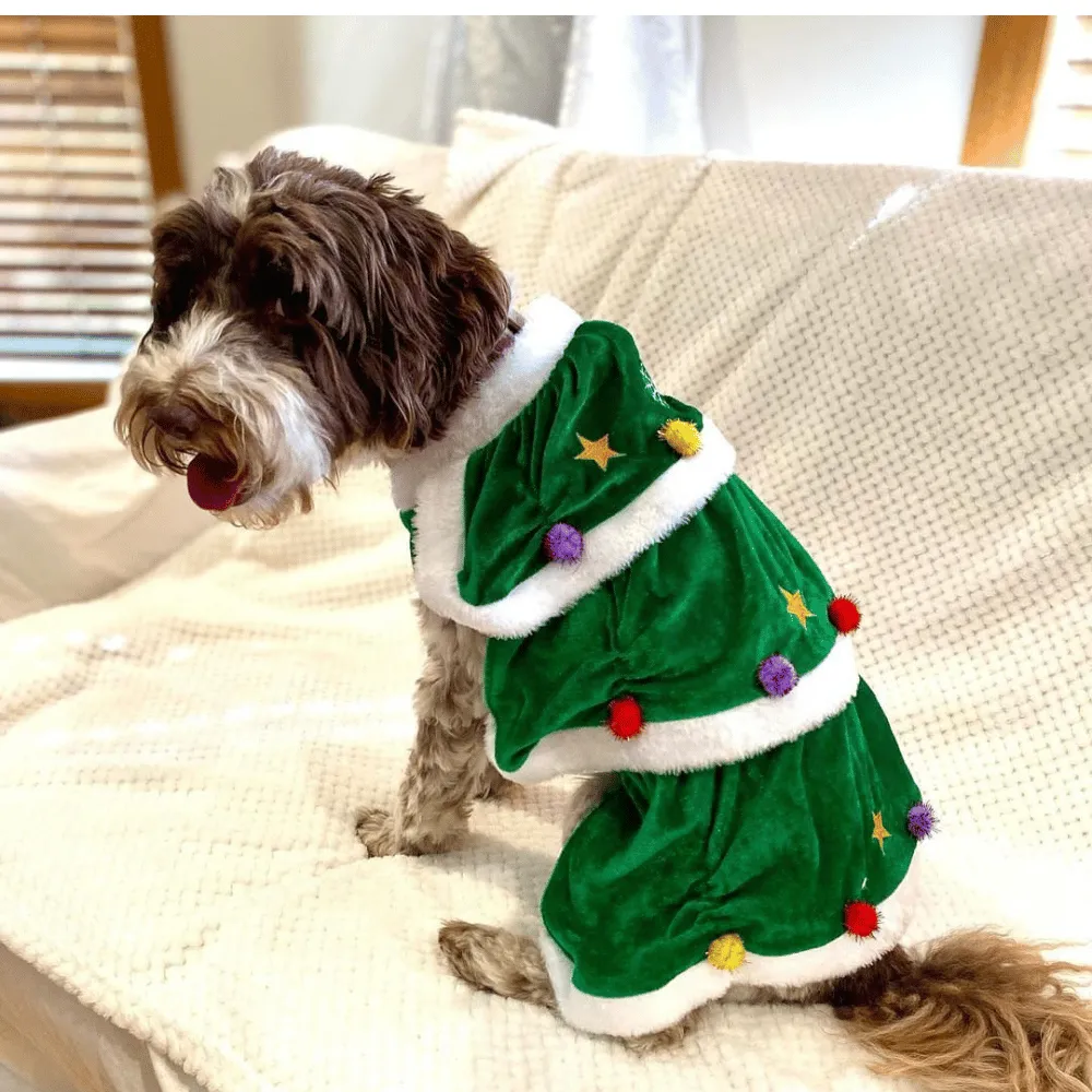 Christmas Tree Dog Costume