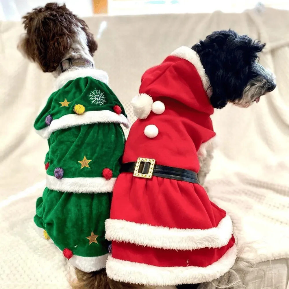 Christmas Tree Dog Costume