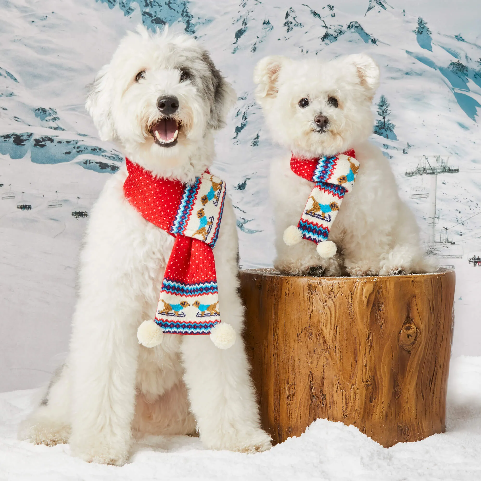 Gray Malin x TFD Hit the Slopes Knit Dog Scarf