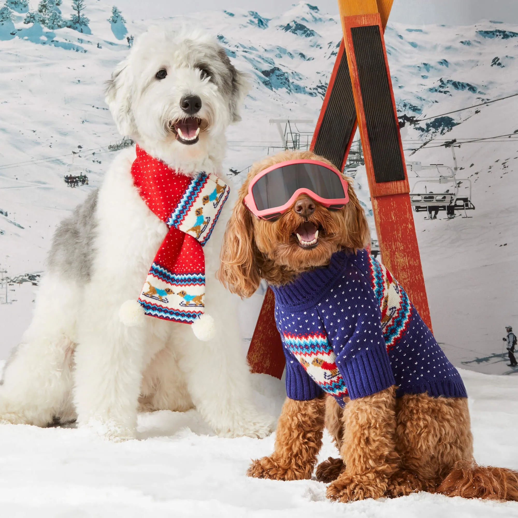 Gray Malin x TFD Hit the Slopes Knit Dog Scarf