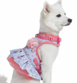 Spring Scent Inspired Floral Dog Harness Dress in Pastel Blue